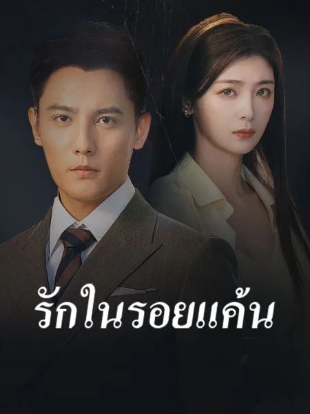 รักในรอยแค้น โปสเตอร์