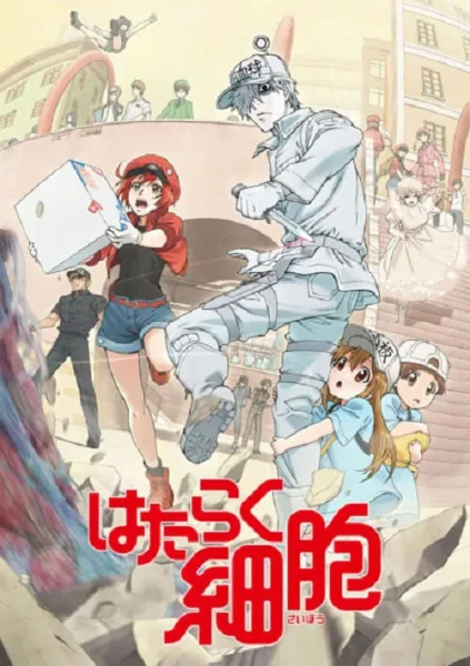 Hataraku Saibou เซลล์ขยันพันธุ์เดือด ภาค 1 โปสเตอร์