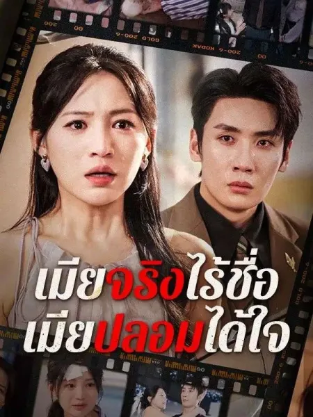 เมียจริงไร้ชื่อเมียปลอมได้ใจ โปสเตอร์
