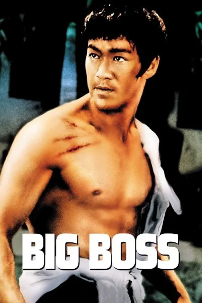 The Big Boss (1971) ไอ้หนุ่มซินตึ้ง โปสเตอร์