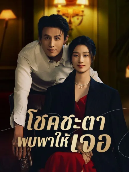 โชคชะตาพบพาให้เจอ โปสเตอร์