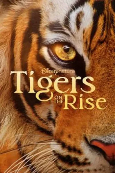 Tigers on the Rise โปสเตอร์