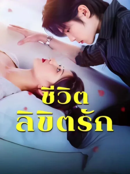 ชีวิตลิขิตรัก โปสเตอร์