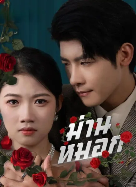 ม่านหมอก โปสเตอร์