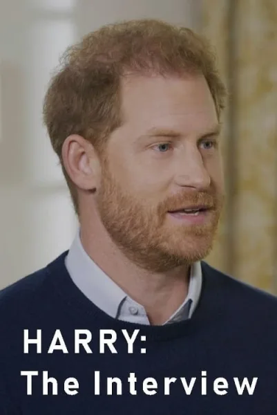 Harry The Interview โปสเตอร์