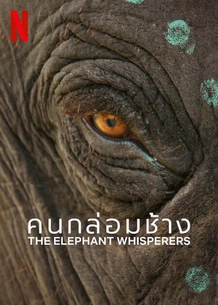 The Elephant Whisperers (2022) คนกล่อมช้าง โปสเตอร์