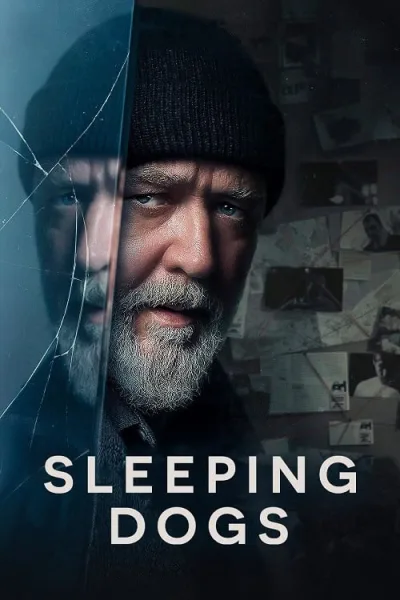 Sleeping Dogs โปสเตอร์