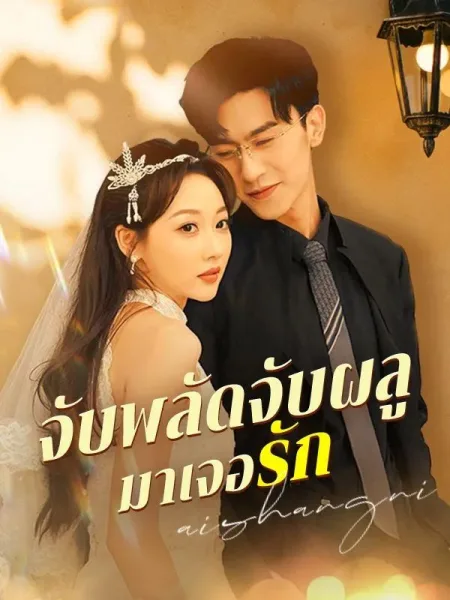 จับพลัดจับผลูมาเจอรัก โปสเตอร์