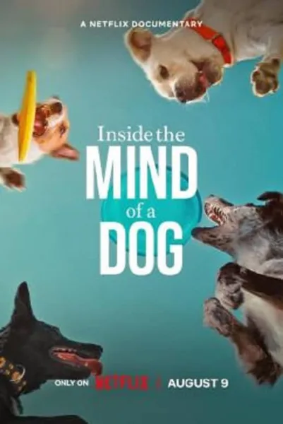 Inside the Mind of a Dog (2024) อ่านใจสุนัข โปสเตอร์