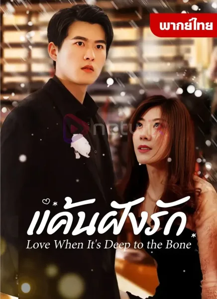 แค้นฝังรัก โปสเตอร์