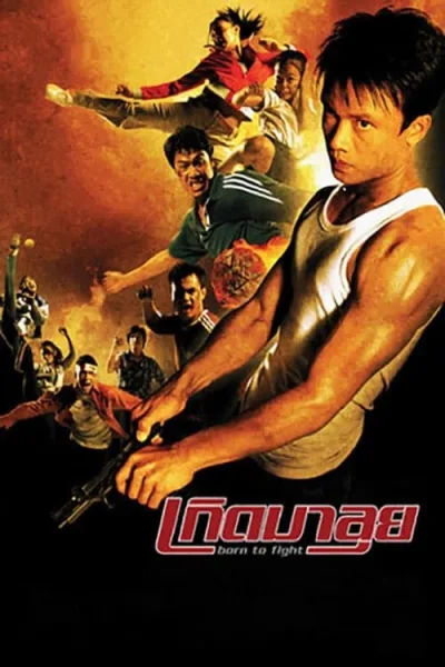 Born to Fight (2004) เกิดมาลุย โปสเตอร์