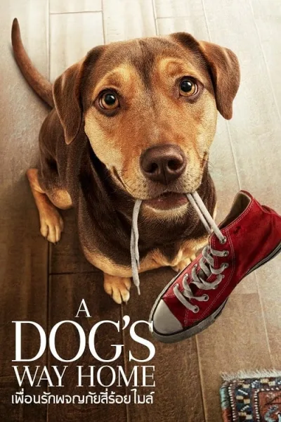 A Dog’s Way Home (2019) เพื่อนรักผจญภัยสี่ร้อยไมล์ โปสเตอร์