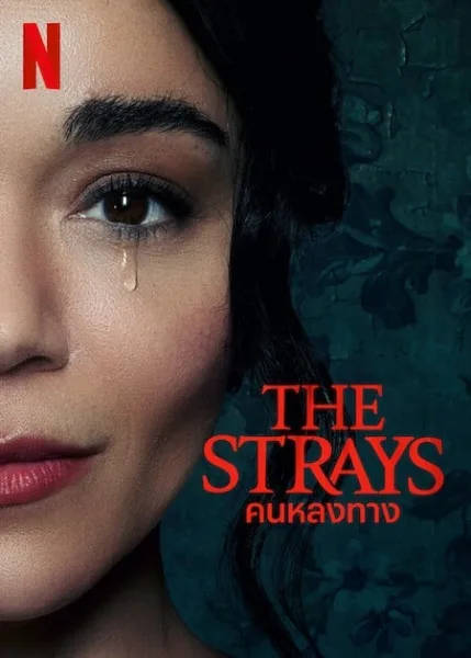 The Strays (2023) คนหลงทาง โปสเตอร์