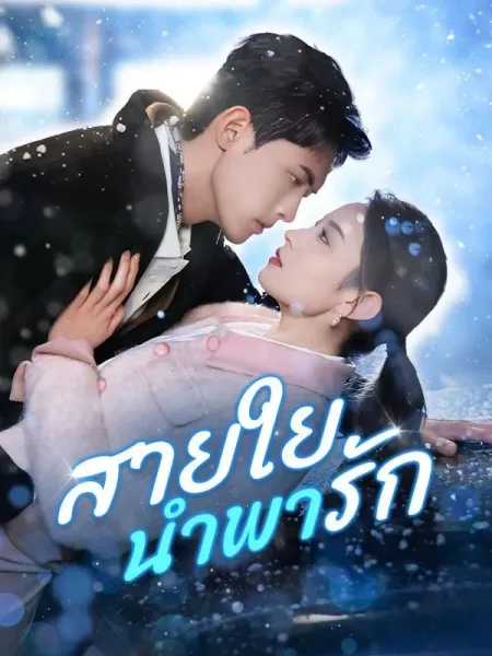 สายใยนำพารัก โปสเตอร์