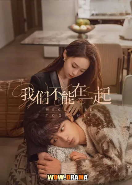 ห้ามหัวใจไม่ให้รัก The Love We Couldn’t Keep (2024) โปสเตอร์
