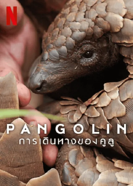 Pangolin Kulu’s Journey (2025) การเดินทางของคูลู โปสเตอร์