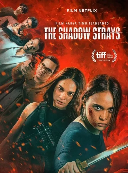 The Shadow Strays นักฆ่าเงาล่าทรชน โปสเตอร์