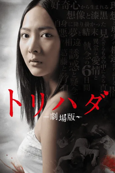 Torihada The Movie โปสเตอร์