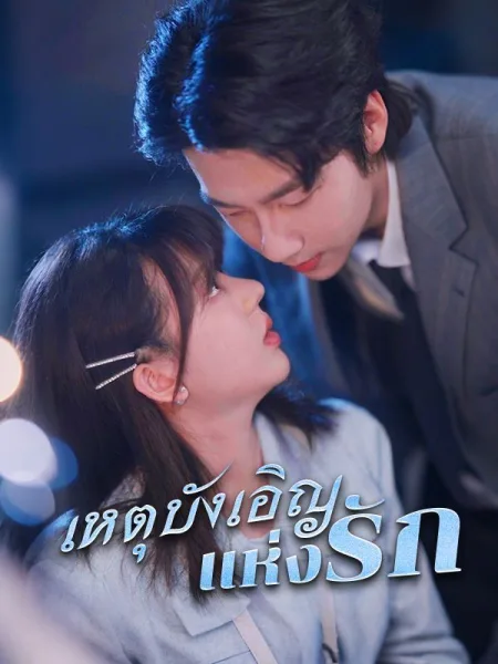 เหตุบังเอิญแห่งรัก โปสเตอร์